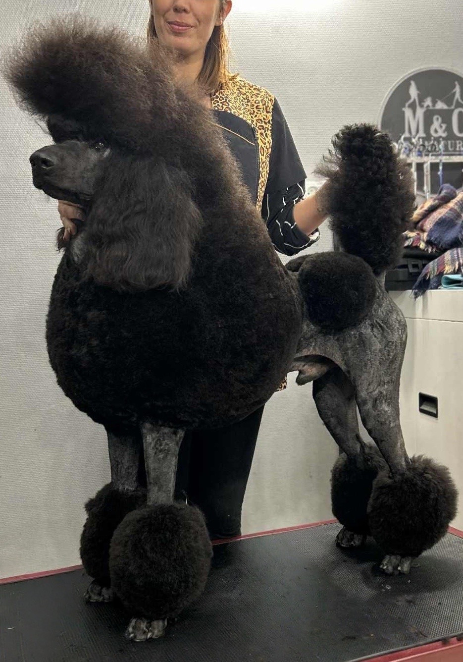 V'ROLO Domaine du parc